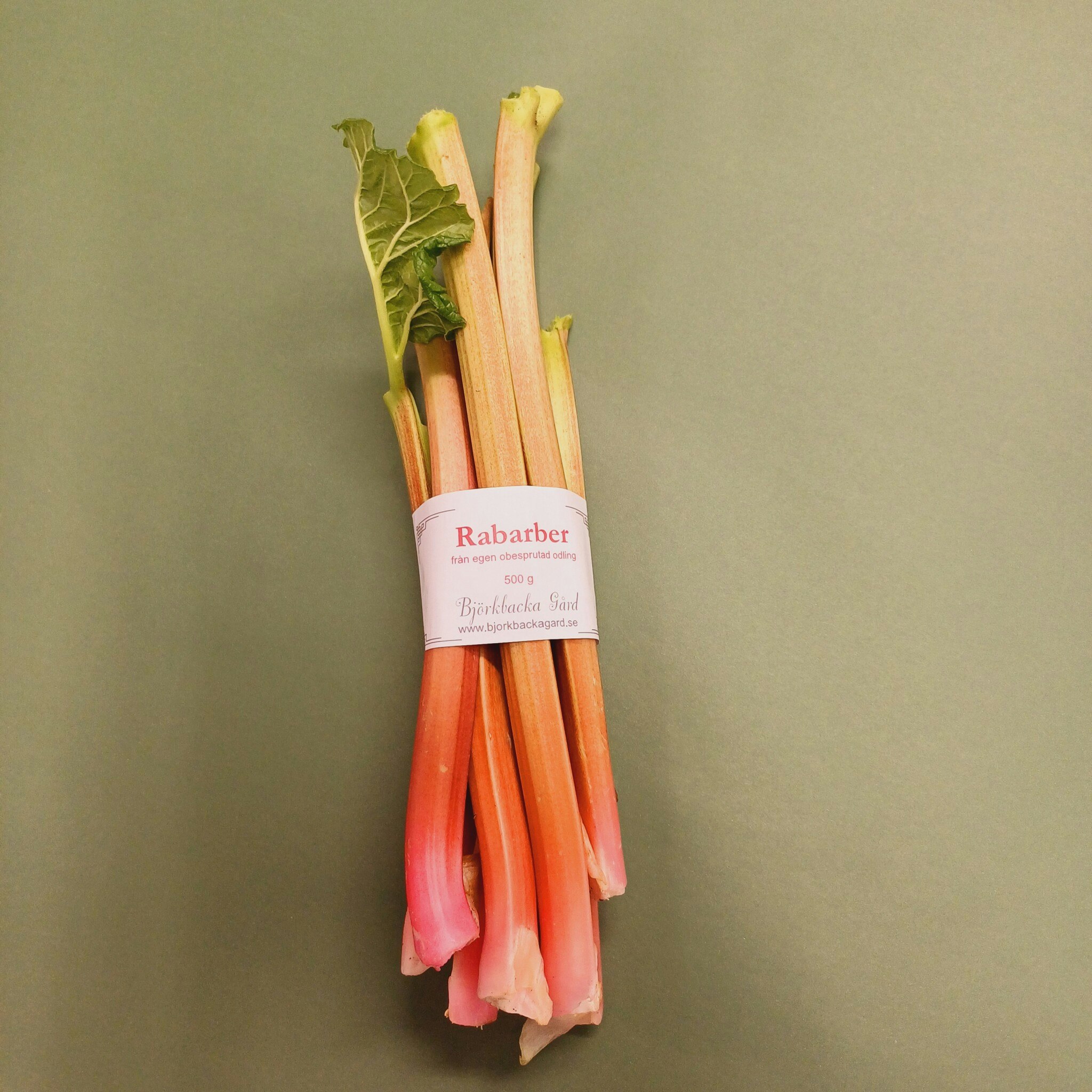 Rabarber 500g, obesprutad Björkbacka Gård