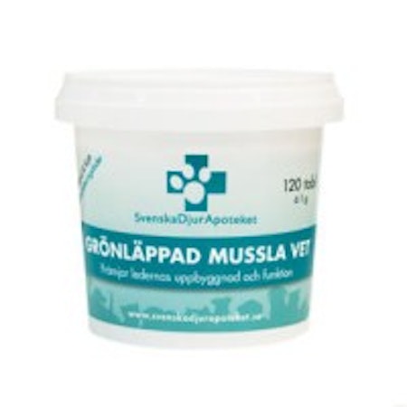 Grönläppad Mussla