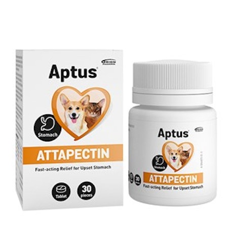 Aptus Attapection