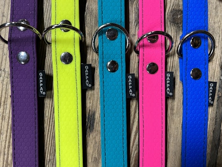 Halsband med fast ring i olika färger.