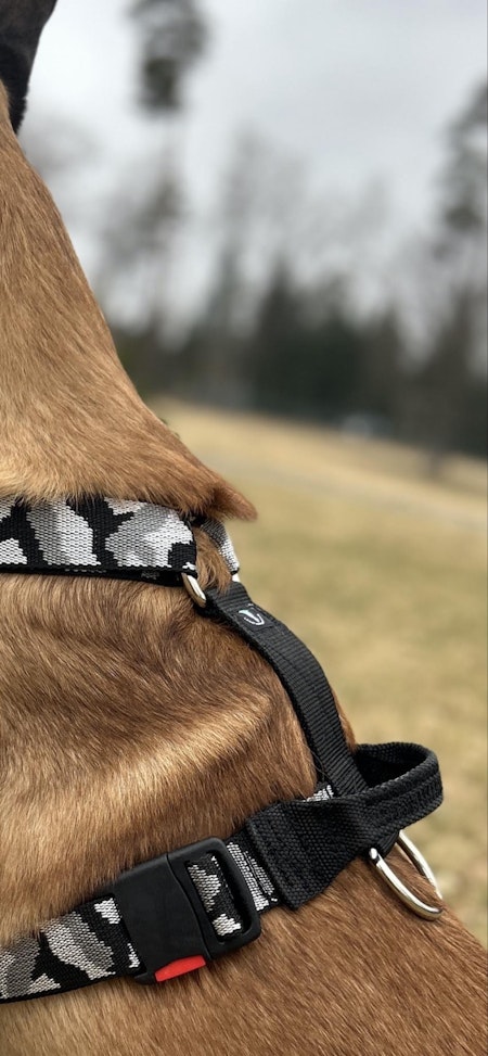 Skydd/spår sele med handtag