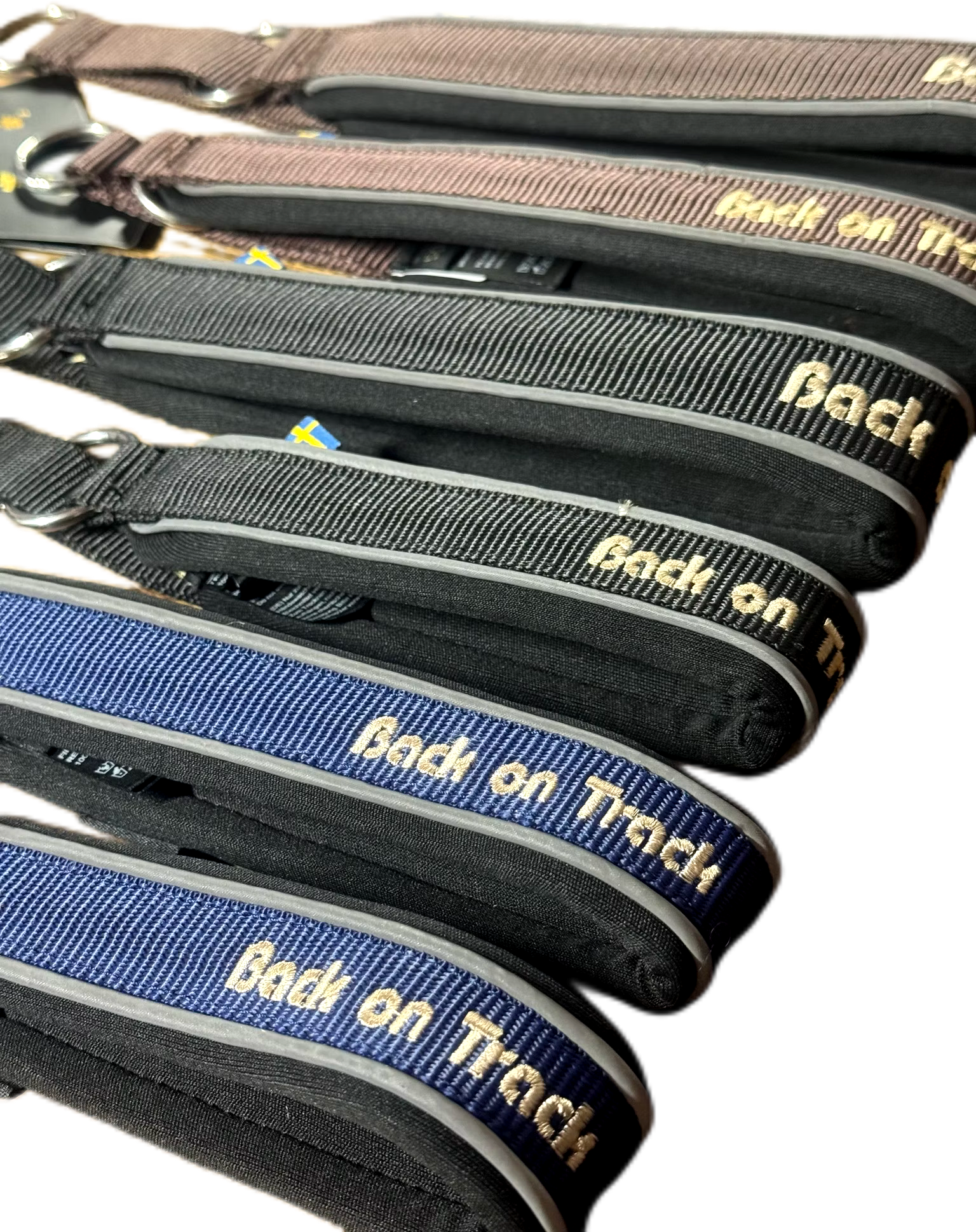 REA     Halsband Back on Track