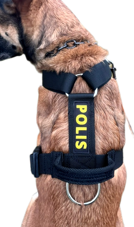 Skydd/spår sele med handtag