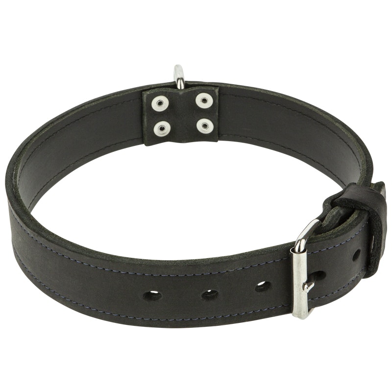 Halsband läder 2 lager