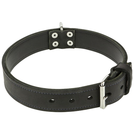 Halsband läder 2 lager