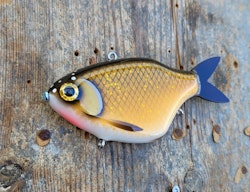 BreamVibe