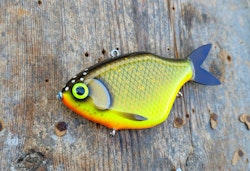 BreamVibe