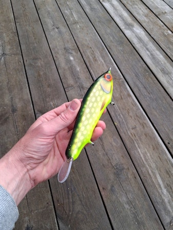 RocketRider HotPike