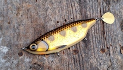 Spitfire SpottedBullhead