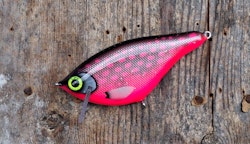 Roachrunner -Hot PinkPike