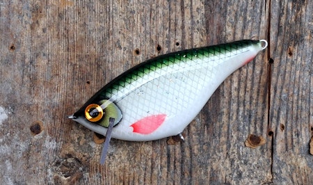 Roachrunner -Pearl Roach