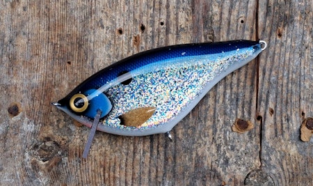 Roachrunner -Bluesilver Sisco