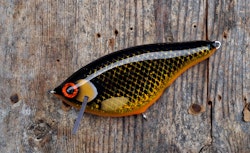 Roachrunner -HotBlack GlitterCarp