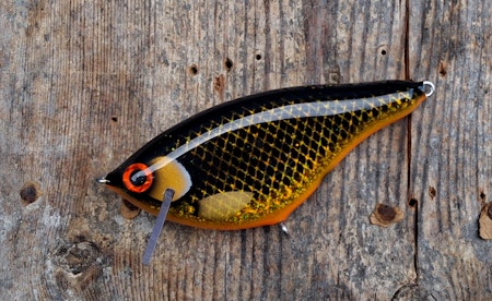 Roachrunner -HotBlack GlitterCarp