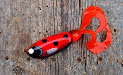 Wideboy Froggy-style LadyBug