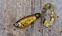 Wideboy Froggy-style SpottedBullhead