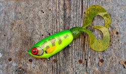 Wideboy Froggy-style Hotfrog