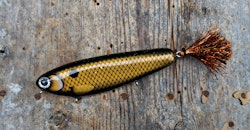 Flashback Crusader -BlackBream