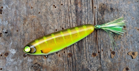 Flashback Crusader -Streetlight Zander