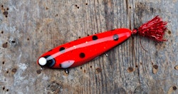 Flashback Crusader -Ladybug
