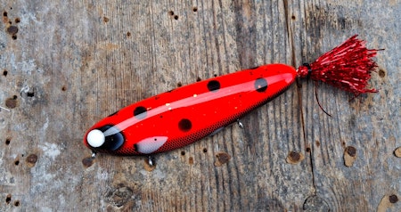 Flashback Crusader -Ladybug