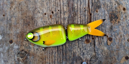 Preyfish 7" -Streetlight Zander