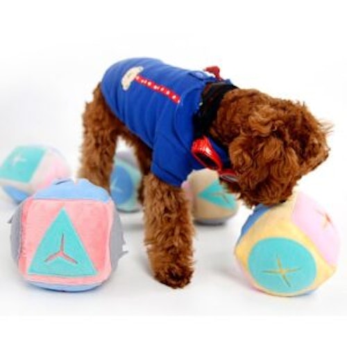 Köp mjuk aktivitetsboll för hund från Coolasteprylarna.se - tyst aktivitet
