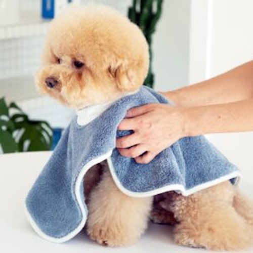 Handduk och badrock för hund