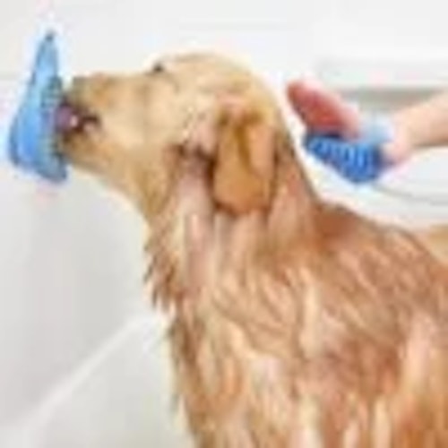 Köp Dog Bath Treater - Hundlockare från Coolasteprylarna.se