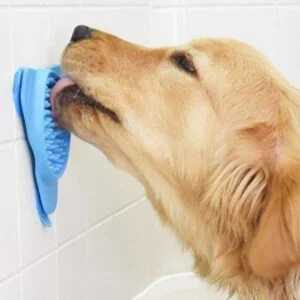 Dog Bath Treater - Hundlockare
