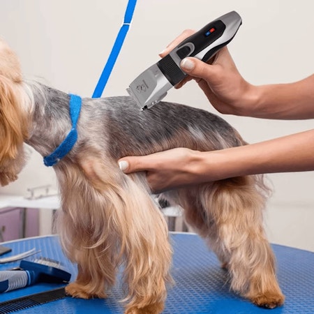 Köp hundtrimmer med tillbehör (tyst)