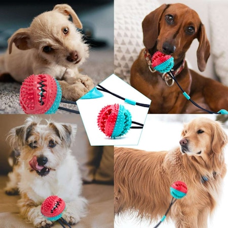 TugFeed aktiveringsleksak till hunden