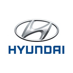 Hyundai Läder & Vinylfärg (PREMIUM)