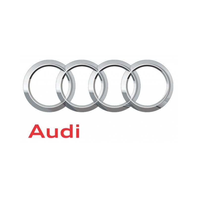Audi Läder & Vinylfärg (PREMIUM)