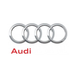 Audi Läder & Vinylfärg (PREMIUM)