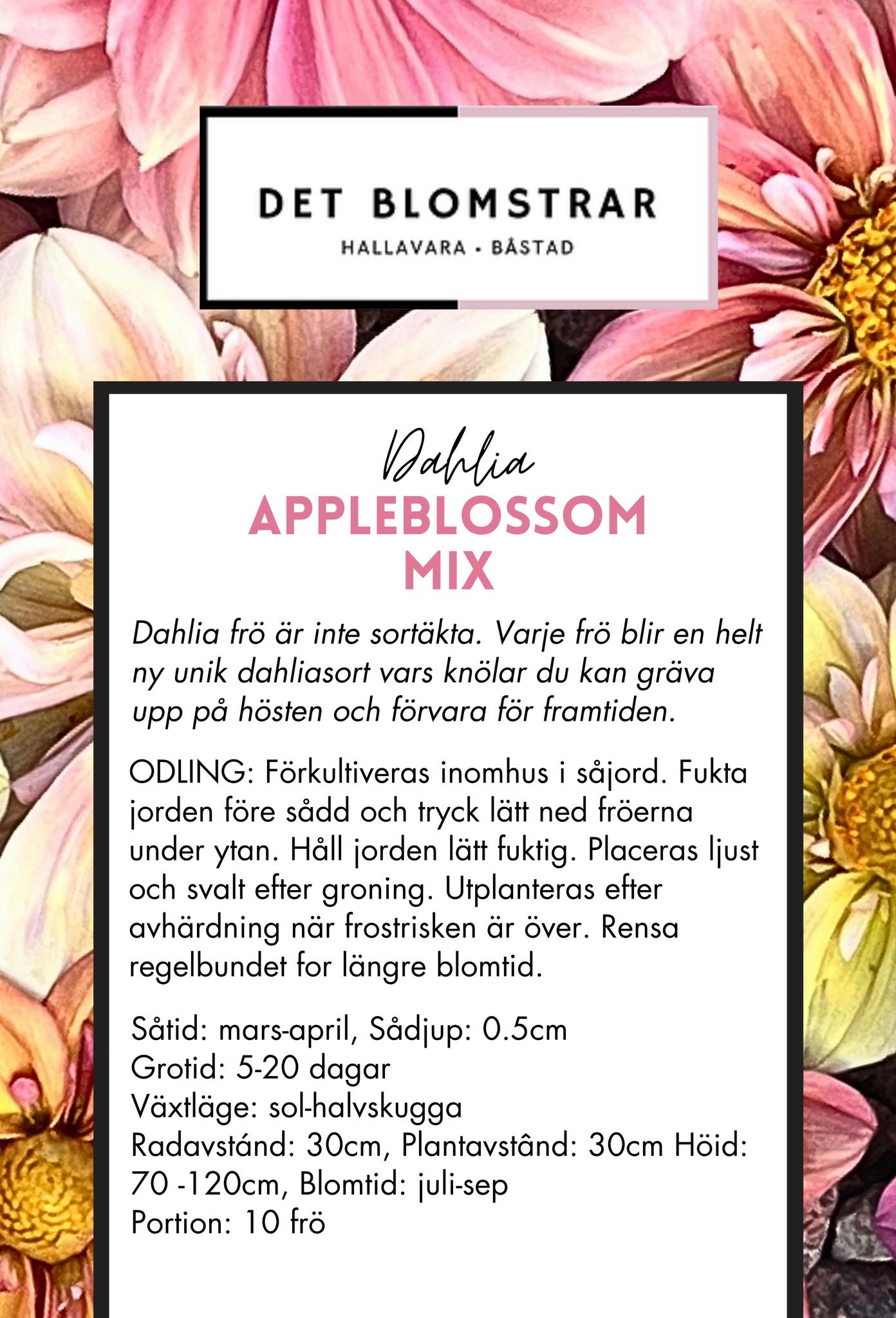 Appleblossom Mix | Frö Dahlia