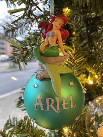 Ariel julekule