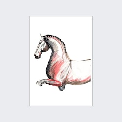 H & H Art Print 21x30 - Dressage