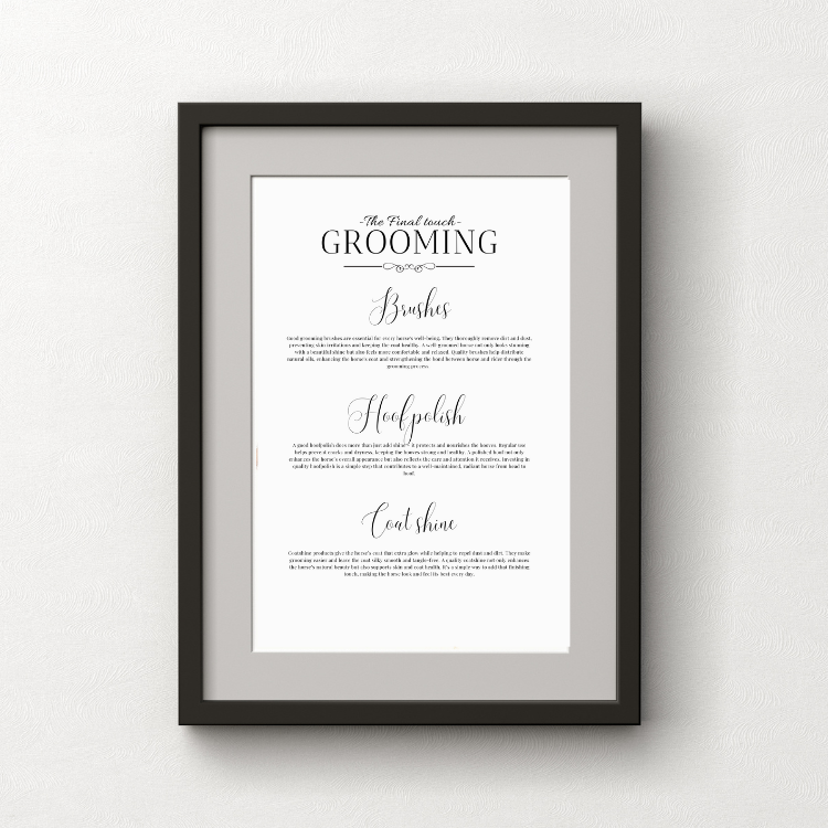 H & H Poster 30x40 - Grooming