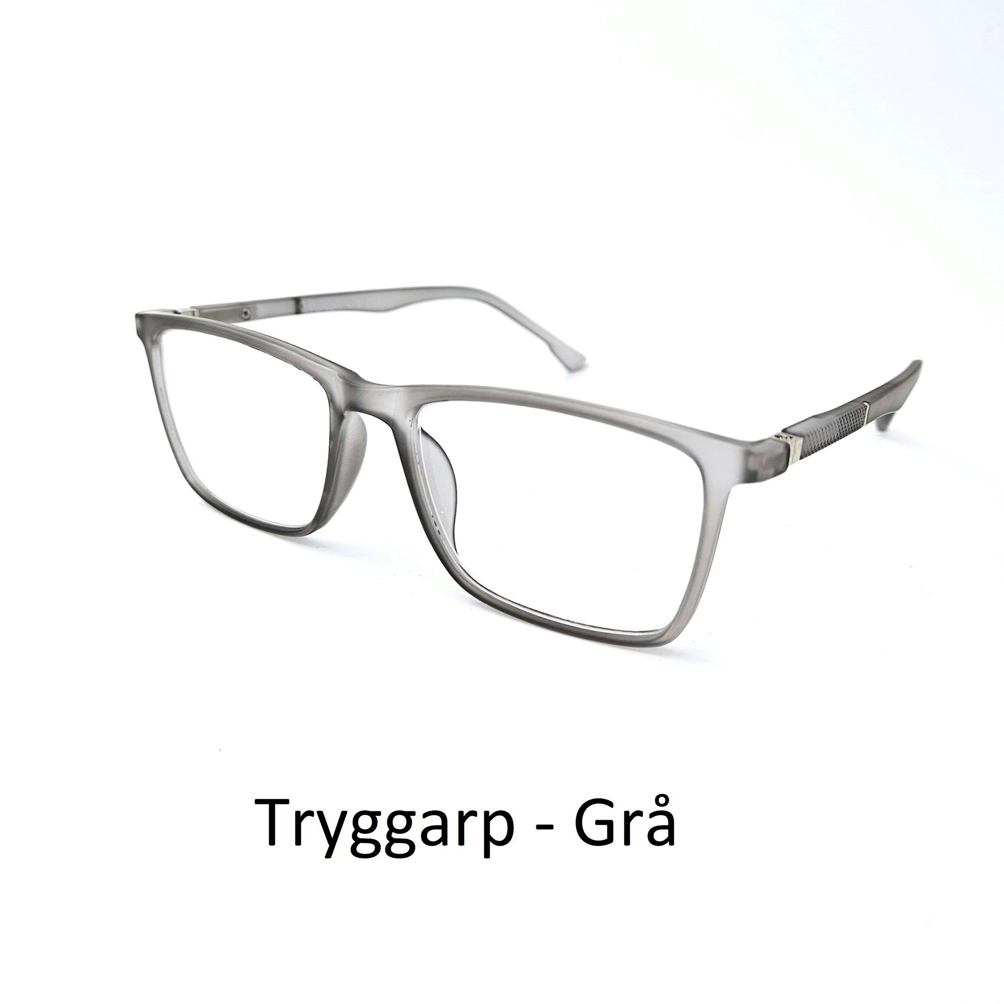 Pairilux Tryggarp Läsglasögon Singlepack Plast gå provpaket