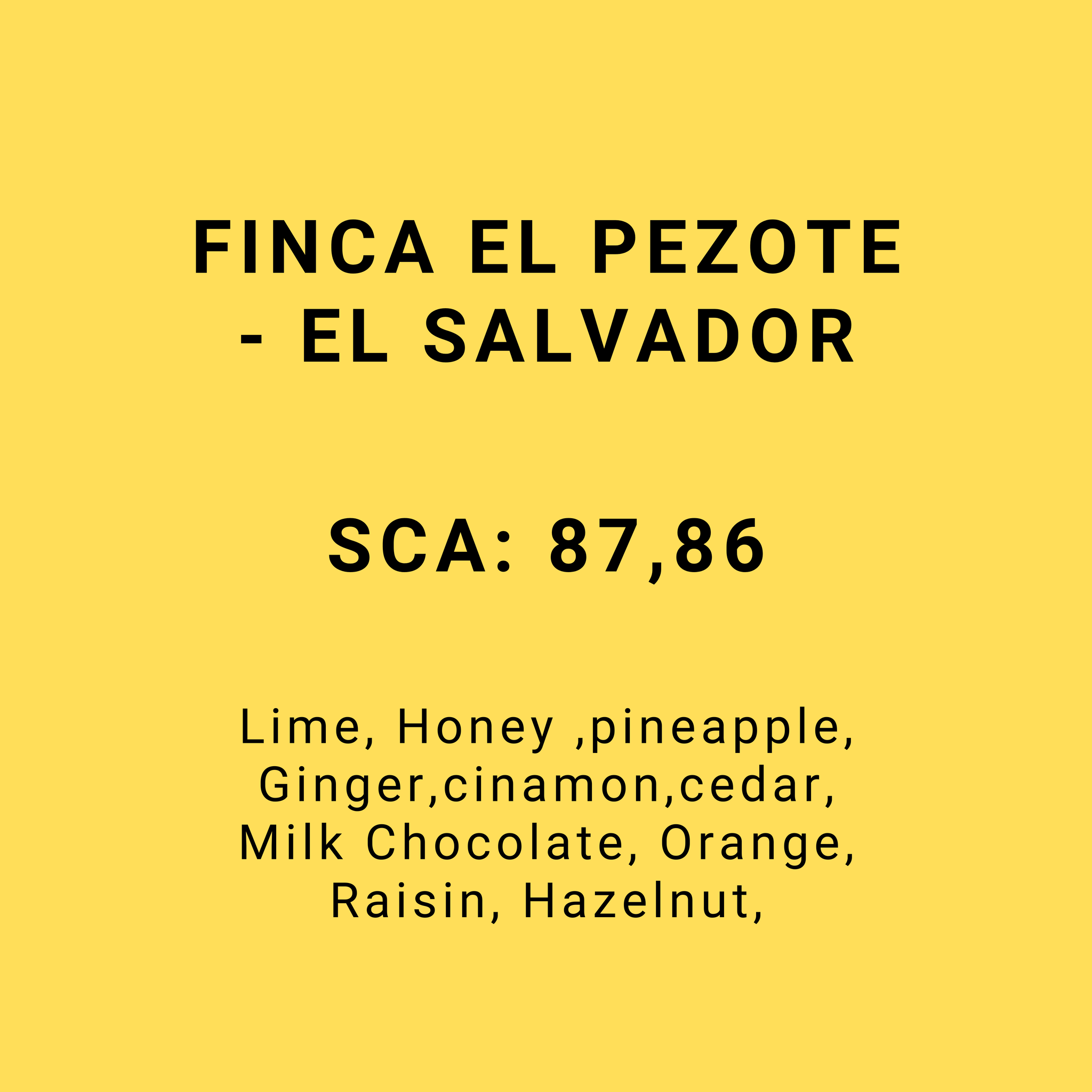 FINCA EL PEZOTE - EL SALVADOR