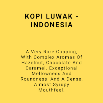 KOPI LUWAK - INDONESIA