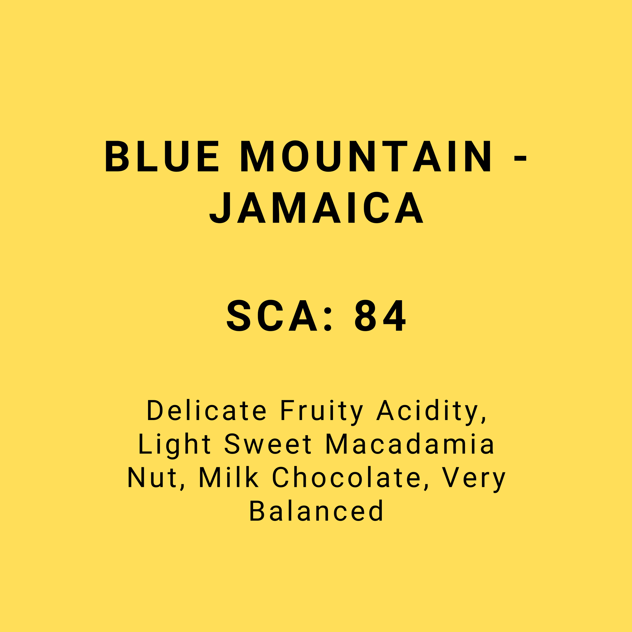 BLUE MOUNTAIN - JAMAICA