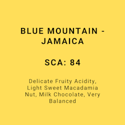 BLUE MOUNTAIN - JAMAICA