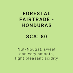 FORESTAL FAIRTRADE - HONDURAS