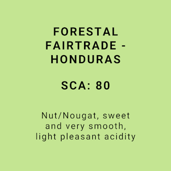 FORESTAL FAIRTRADE - HONDURAS