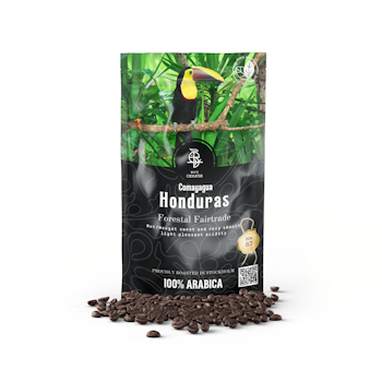 FORESTAL FAIRTRADE - HONDURAS