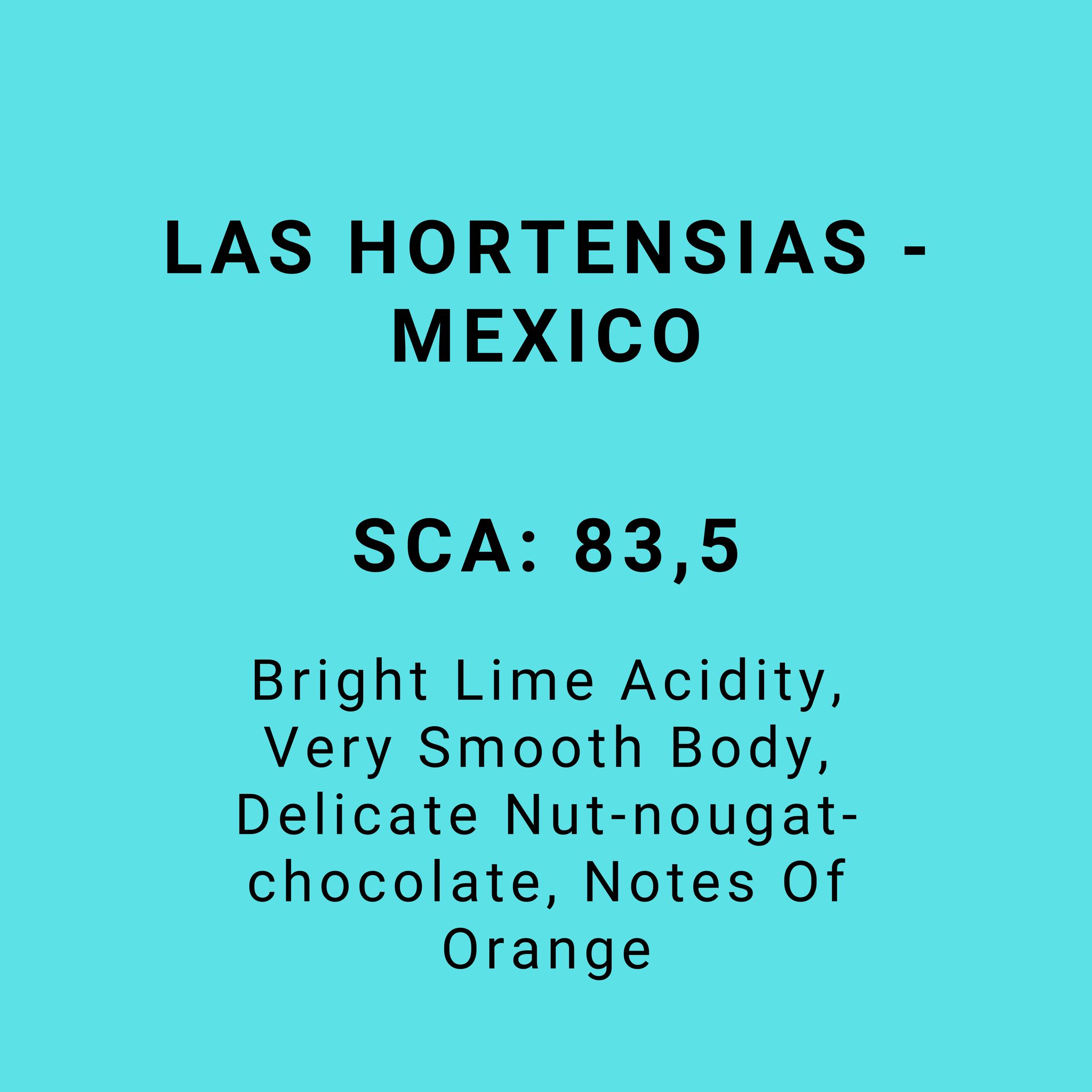LAS HORTENSIAS - MEXICO