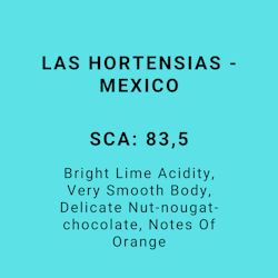 LAS HORTENSIAS - MEXICO