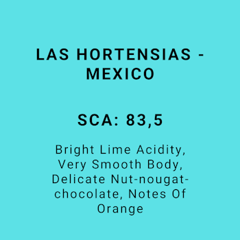 LAS HORTENSIAS - MEXICO